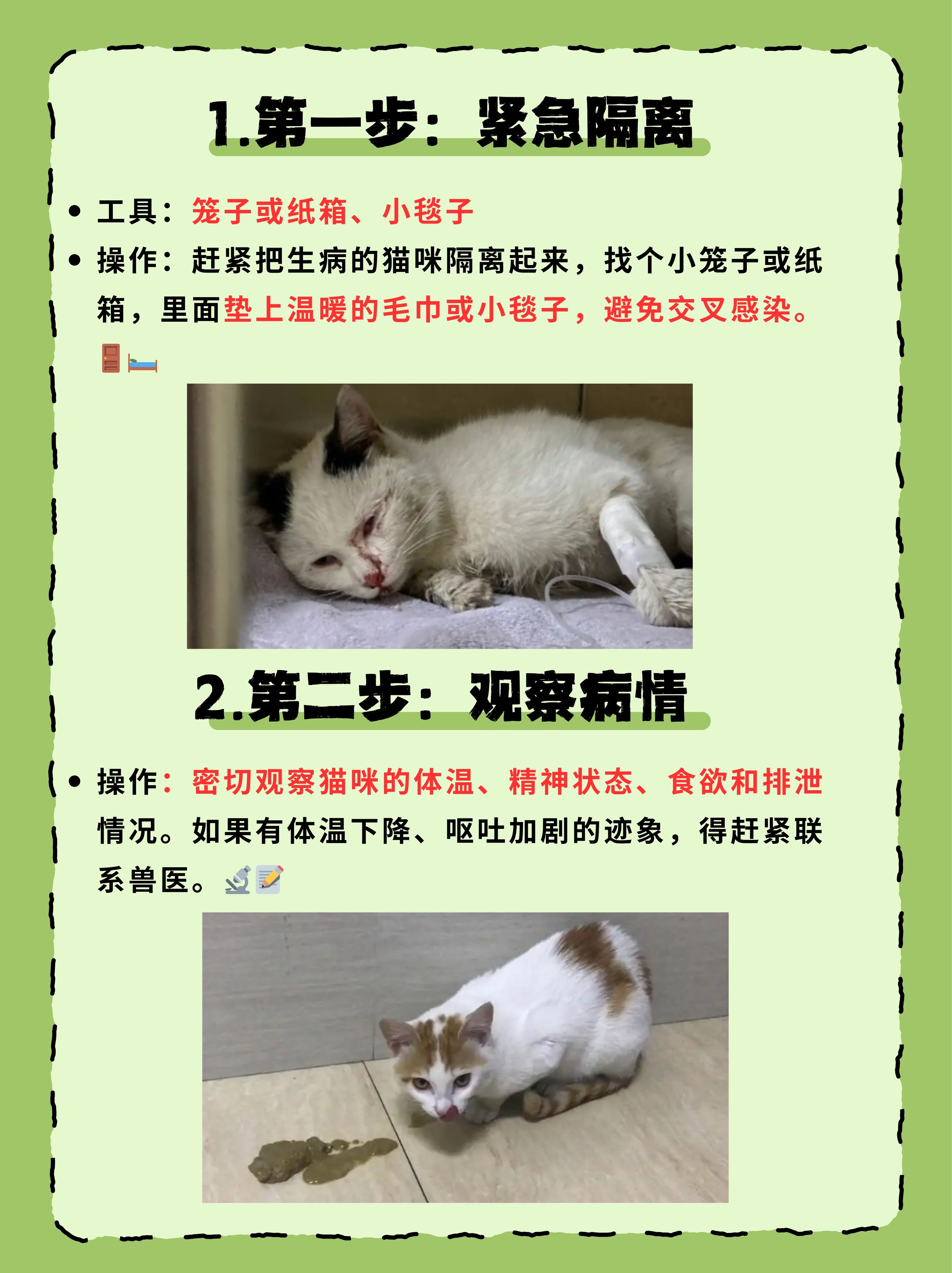 治疗猫瘟其实很简单