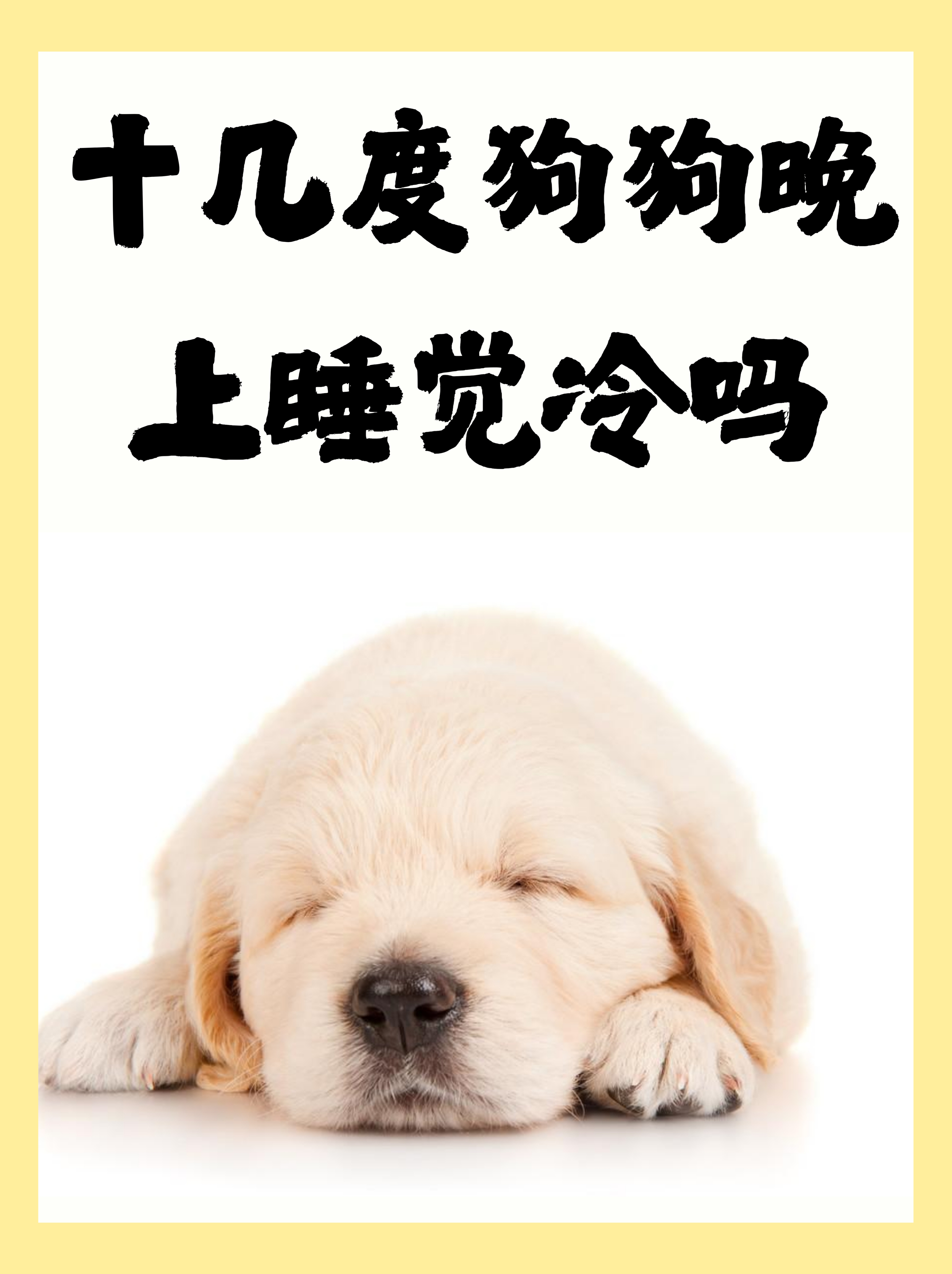 超度宠物写已逝什么-过了49天超度还有用吗