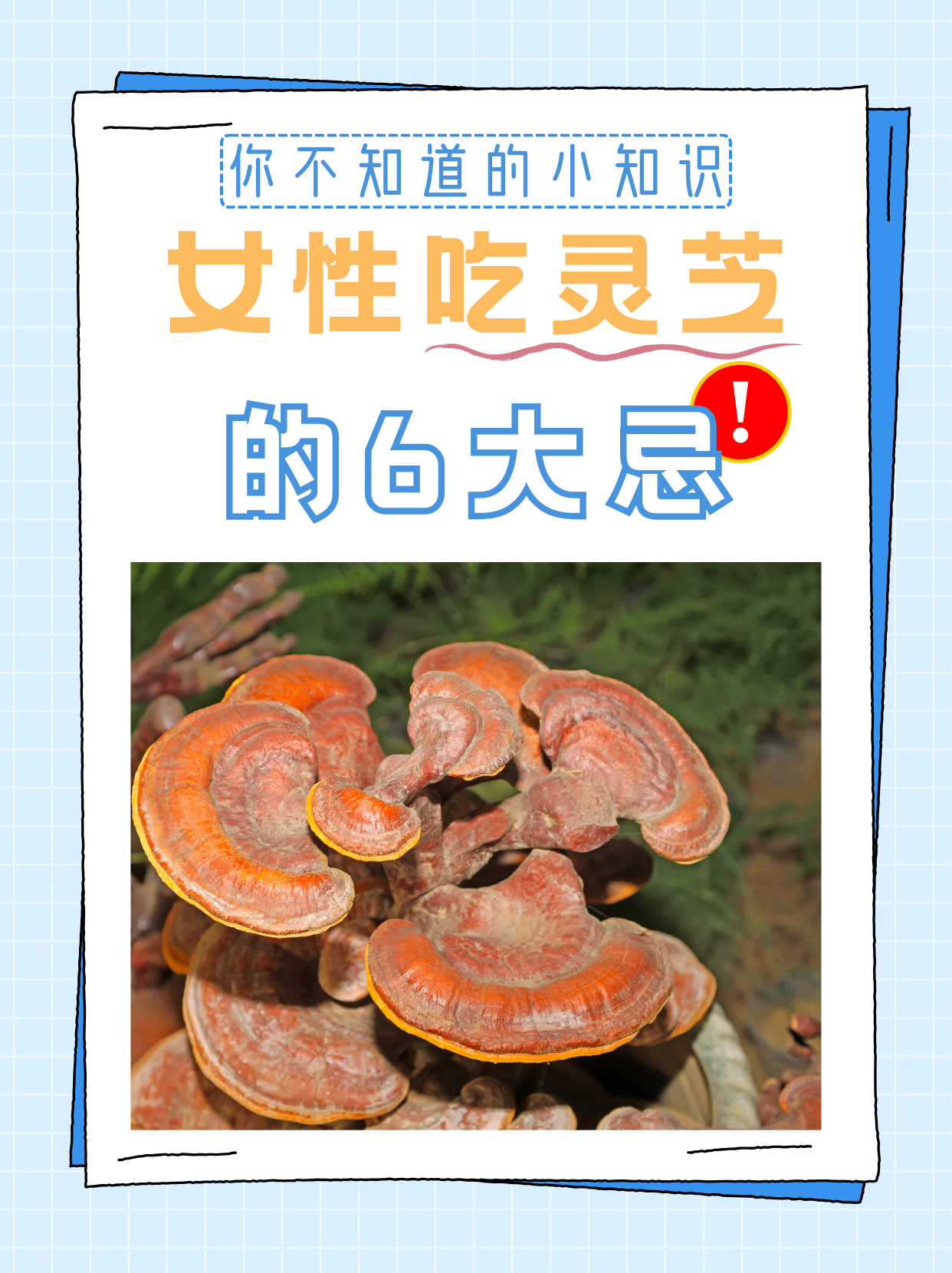 老人为什么不能喝灵芝