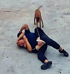 跳到他背上,一只手勒住他的脖子,另一只手抓住他的头发,双腿紧紧夹着