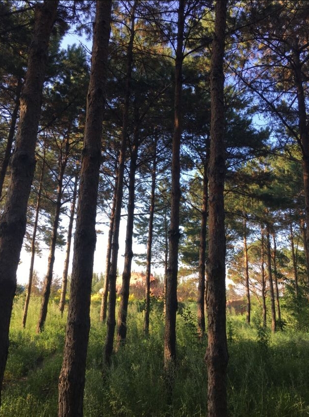 双辽旅游景点介绍: 1.