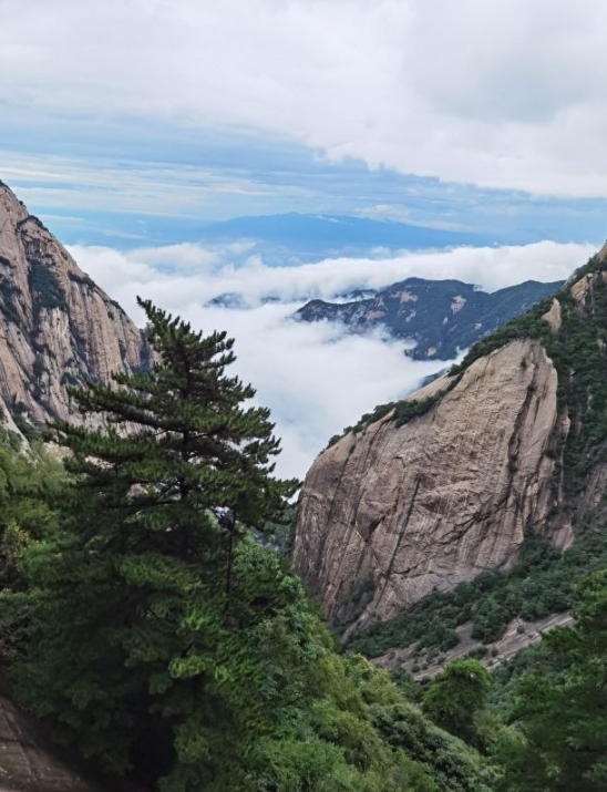 西岳华山简介  华山