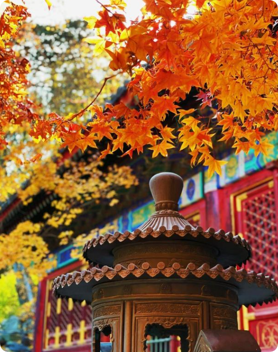 香山公园景点详细介绍: 香山公园位于北京西郊,是一座具有山林特色的