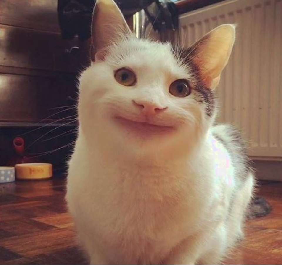 据《美联社》当地时间7月10日报道,美国军方在加沙沿