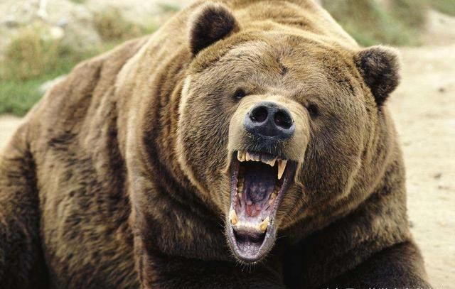 他不仅身强体健,力大无穷,更有一个让人瞠目结舌的爱好