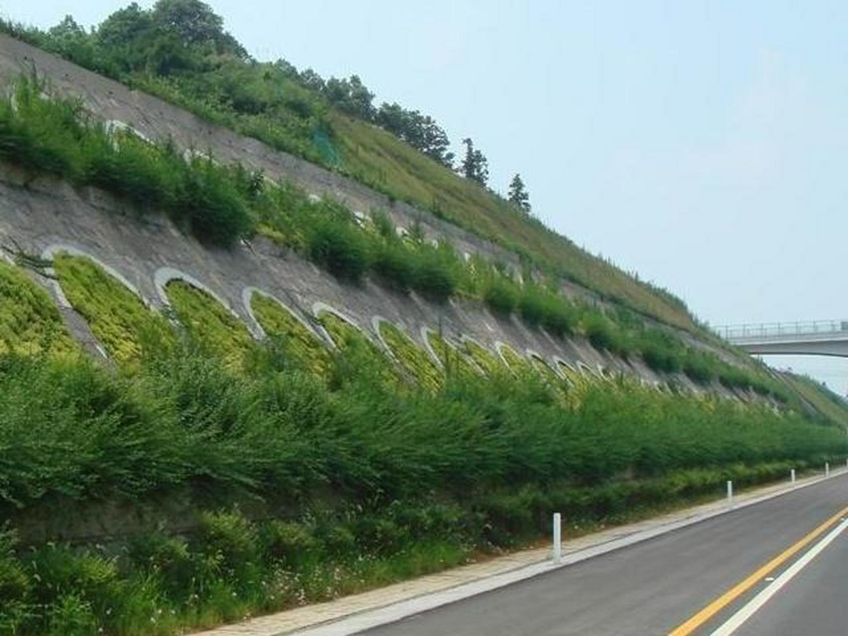 边坡绿化是生态修复的重要一环,其中客土喷播技术备受推崇.