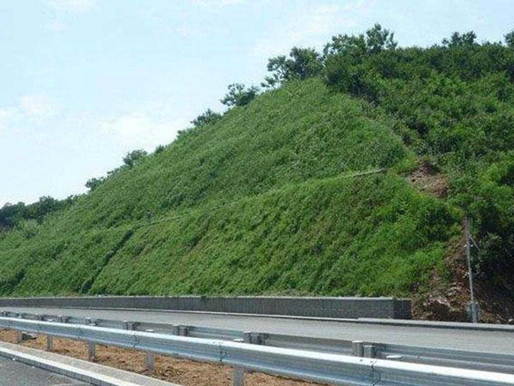 边坡绿化是生态修复的重要一环,其中客土喷播技术备受推崇.