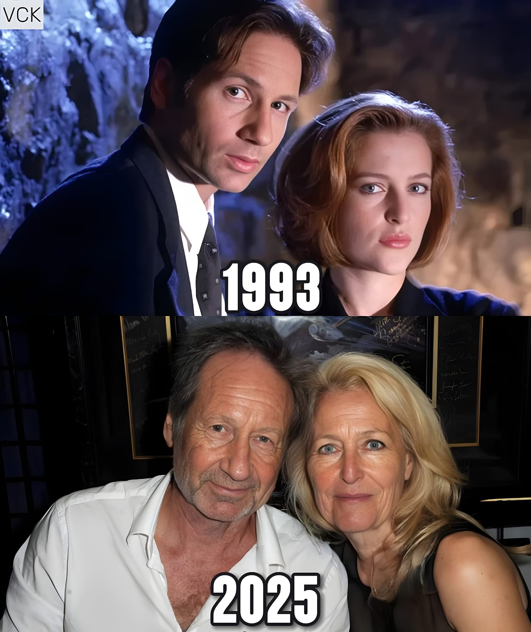 和吉莉安·安德森