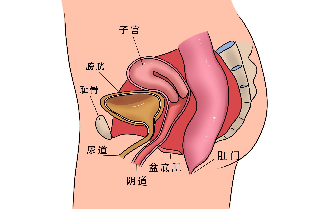 一开始我以为是上火了,但是喝了好多水还是疼