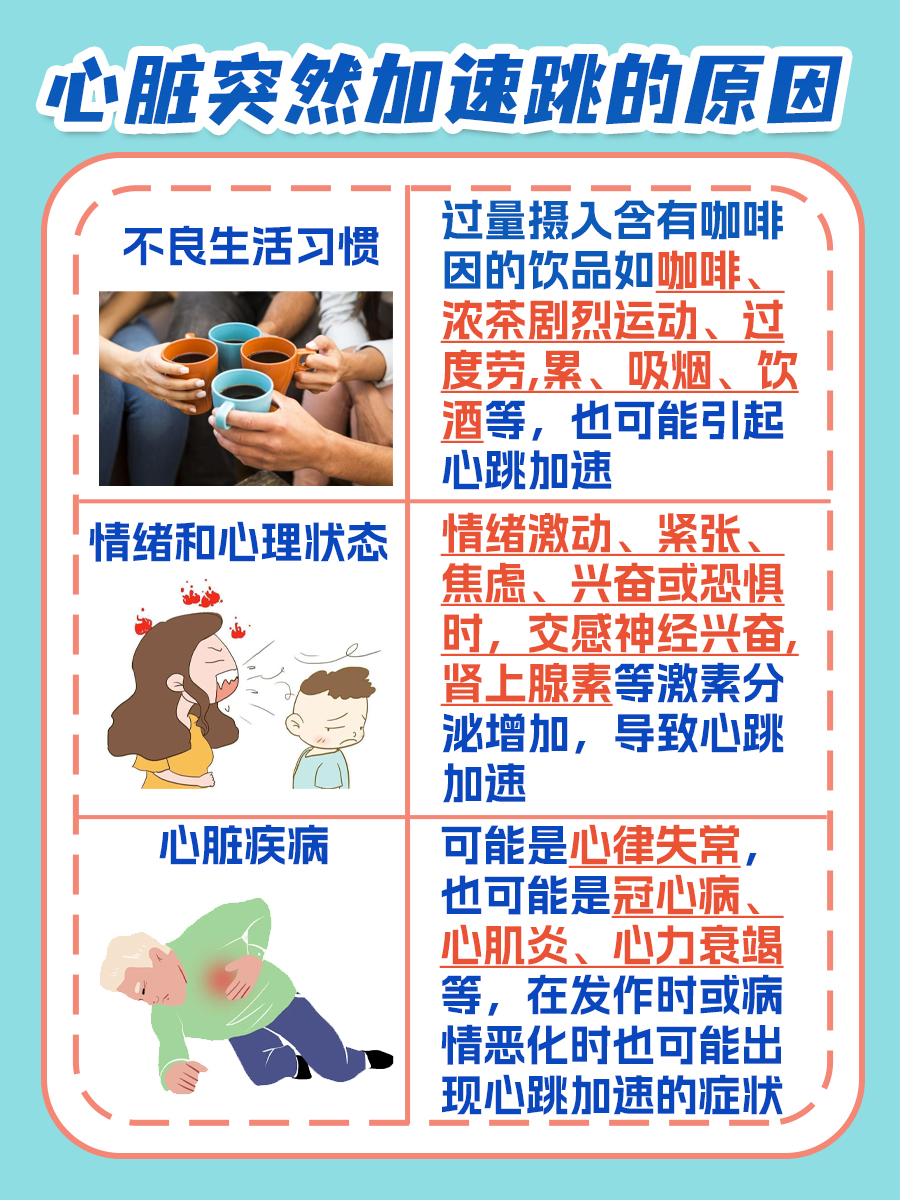 心脏突然加快速度跳:背后的神秘原因