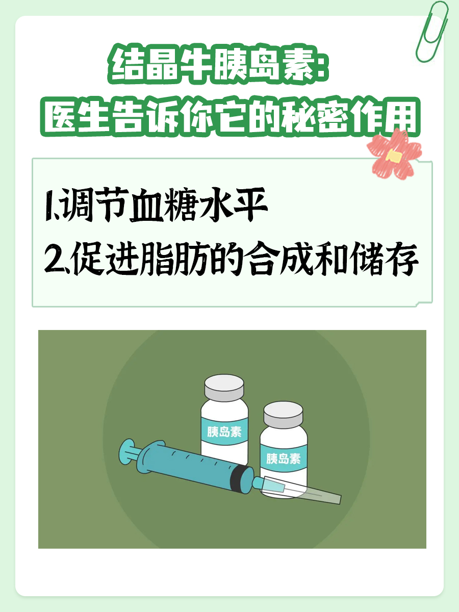 结晶牛胰岛素:医生告诉你它的秘密作用