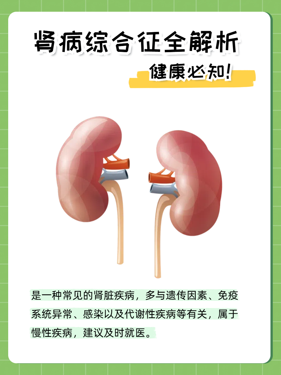 得了肾炎怎么办肾炎能治好吗百科在线