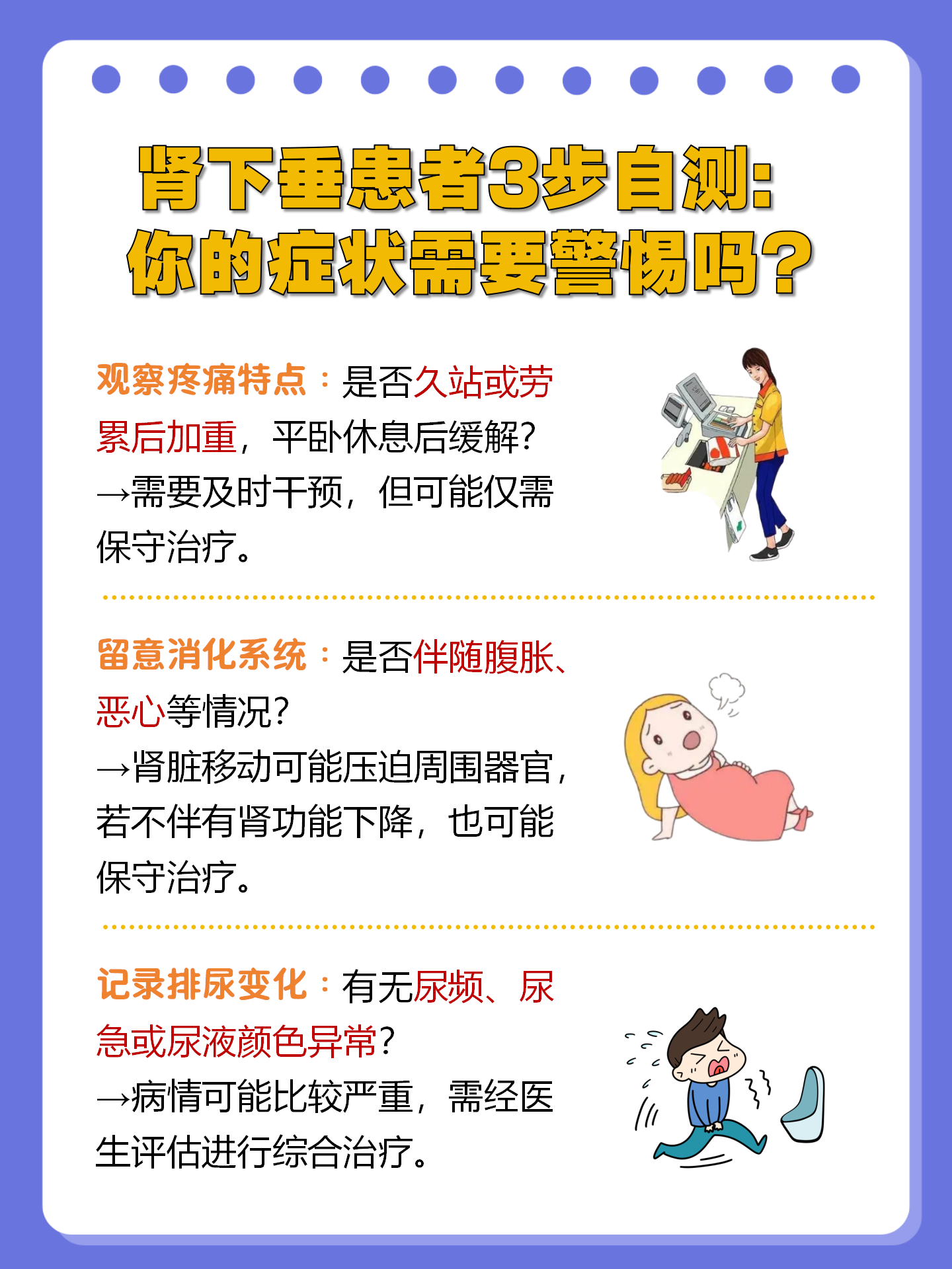 不一定!  体检单上"左肾下垂"四个字总让人心头一紧,但别急着焦虑!