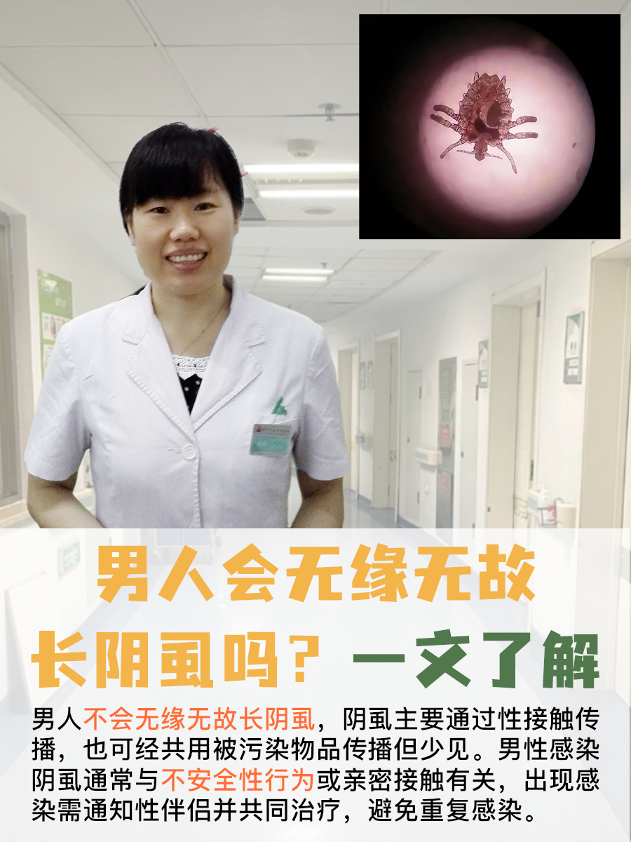 男人阴囊长阴虱图片阴虱虫子图片男性得了阴虱图片阴虱虫是怎么长出来