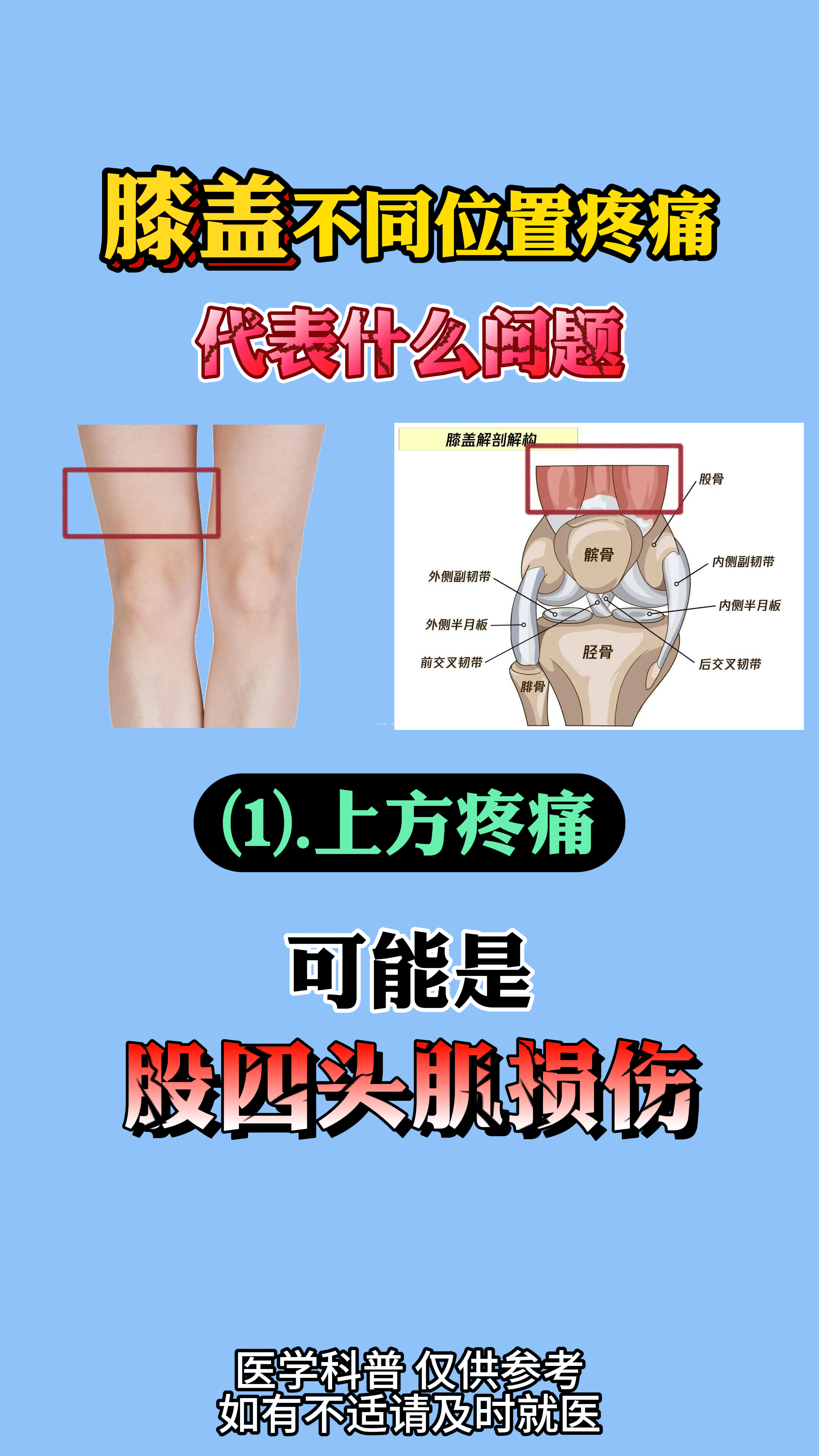 膝关节七个压痛点图片