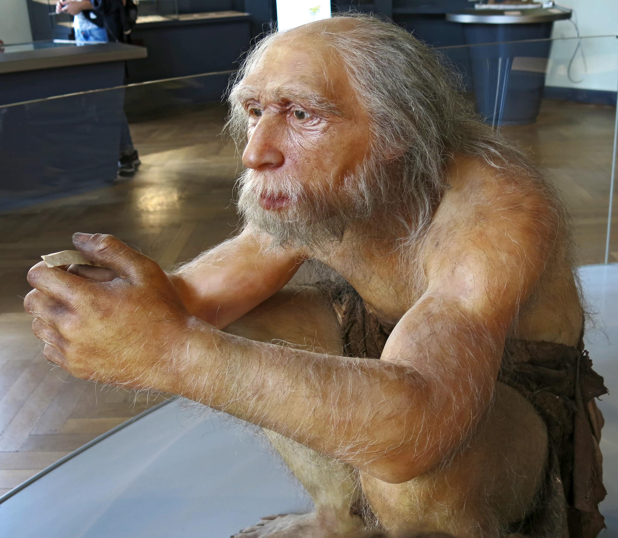 圣人教堂的老年尼安德特人,至少有 40 岁.