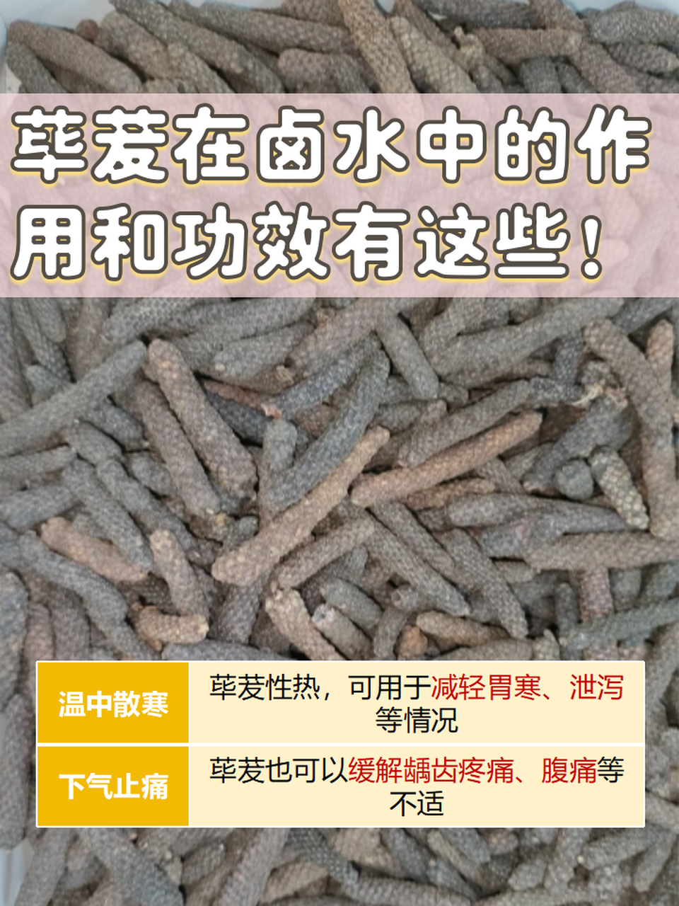 82荜茇这种中药你听过吗?