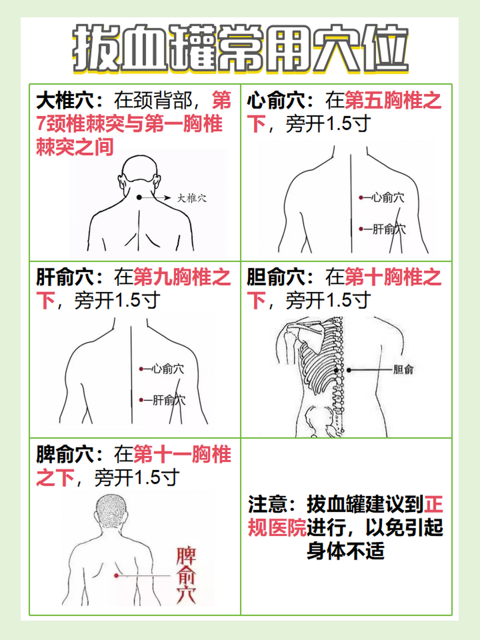 火罐对应器官位置图图片