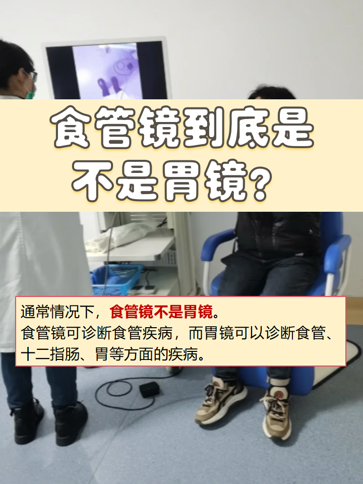 你做过食管镜或者胃镜吗?