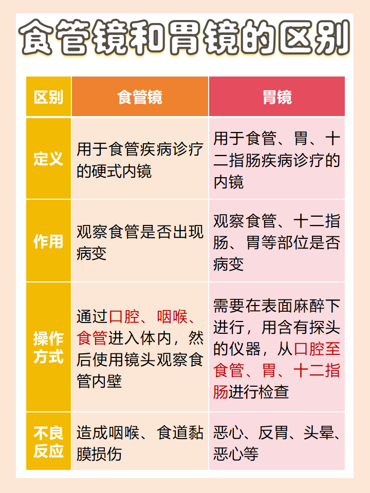 你做过食管镜或者胃镜吗?