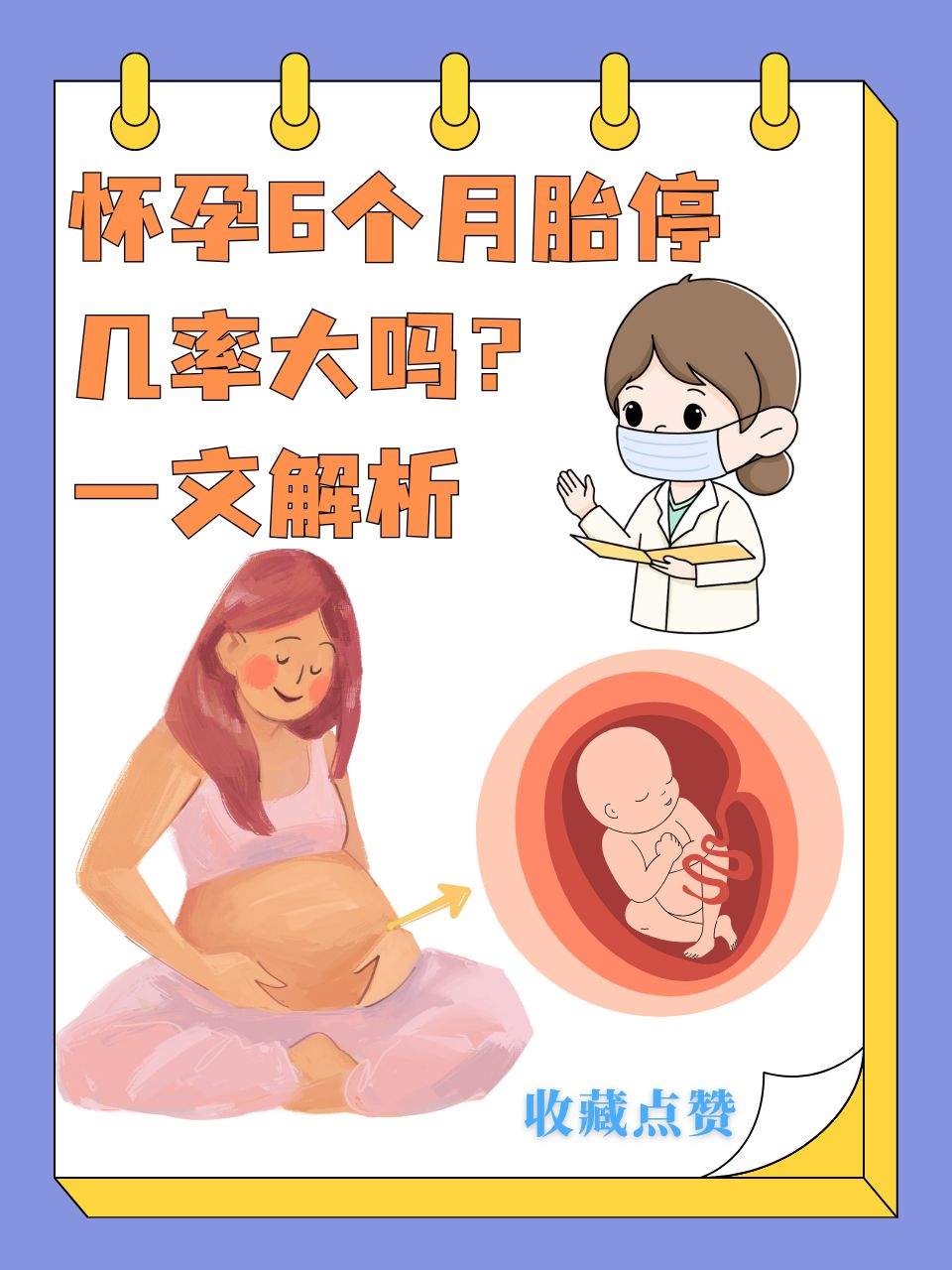 一文解析  当准妈妈怀孕6个月时,已经进入到了孕中期的阶段
