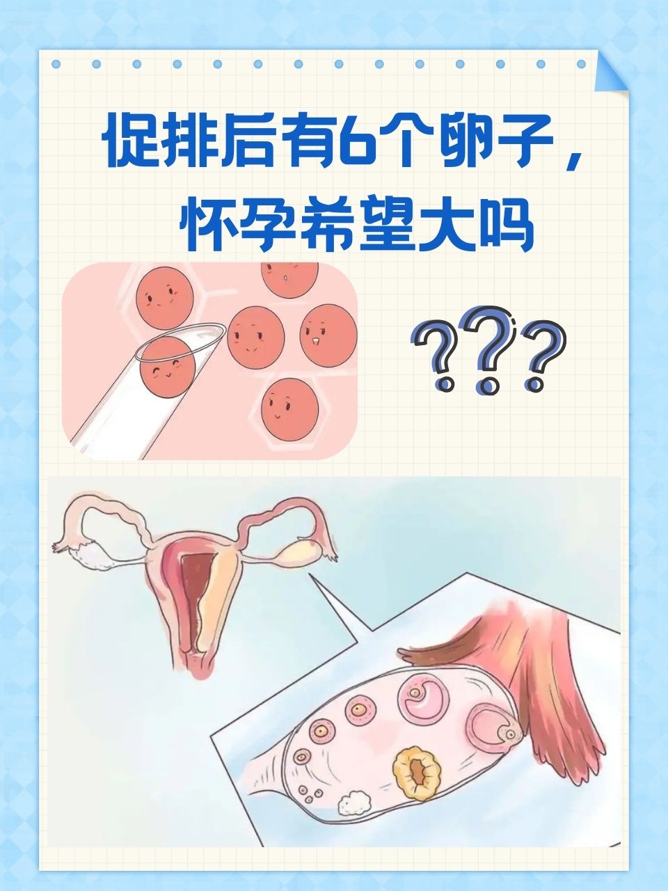 关于怎样才能排两个卵子的信息