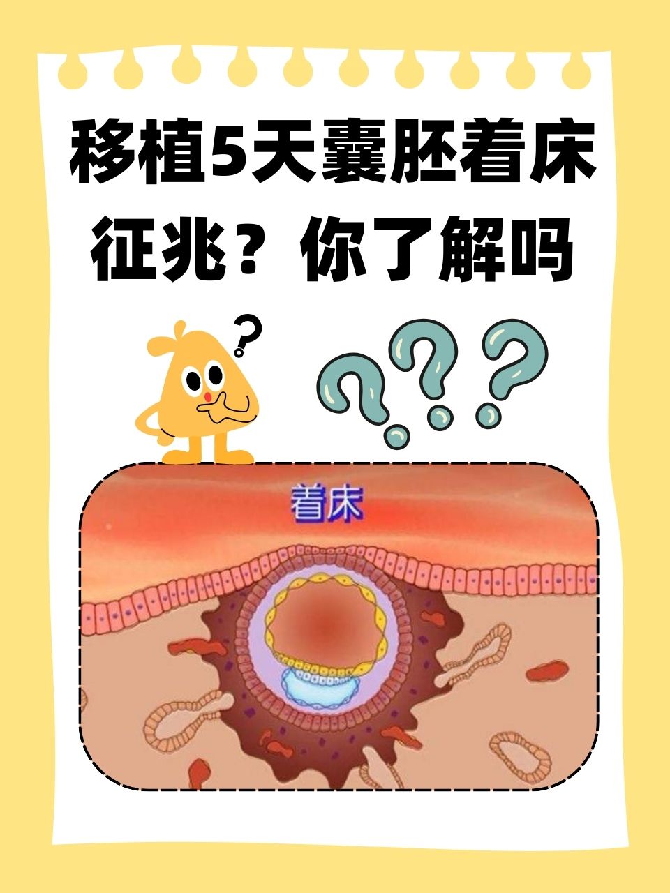 囊胚移植最晚十天着床(囊胚移植最晚十天着床会出血吗)