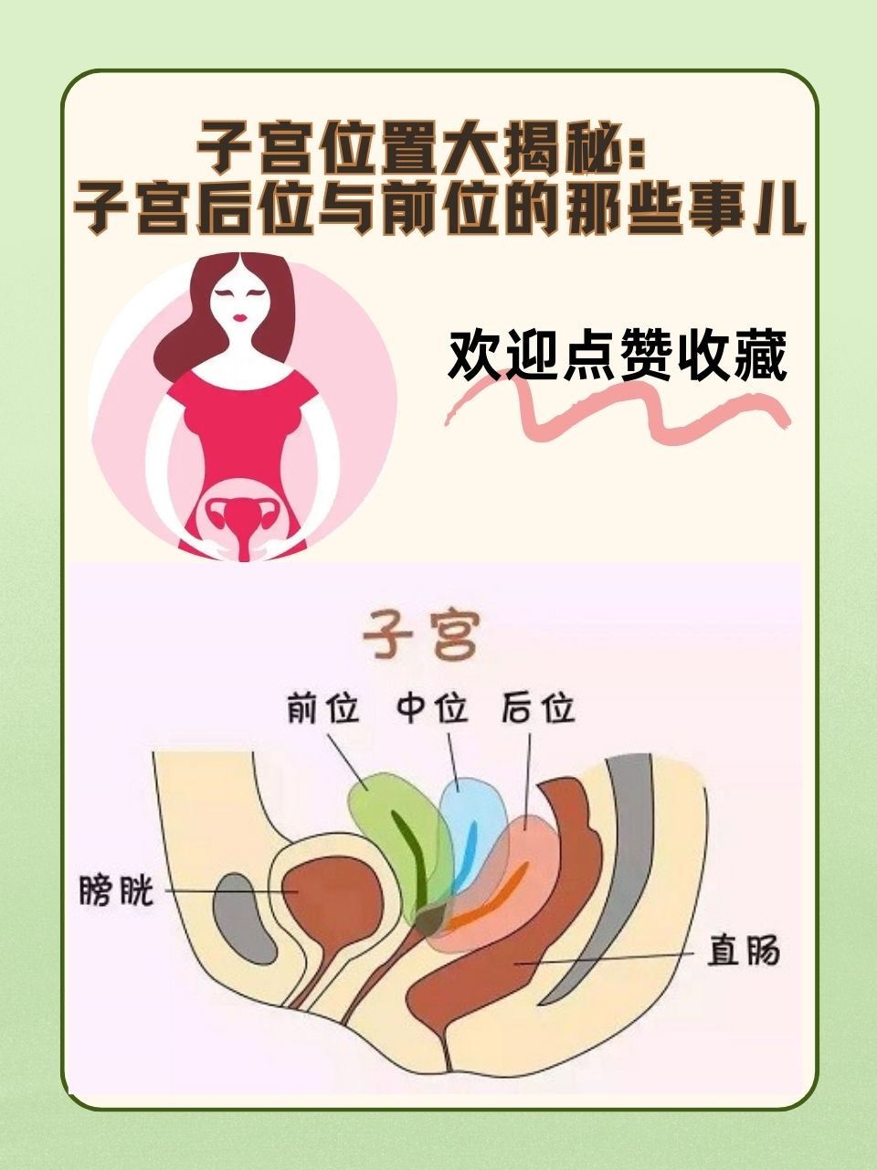 子宫位置大揭秘:子宫后位与前位的那些事儿