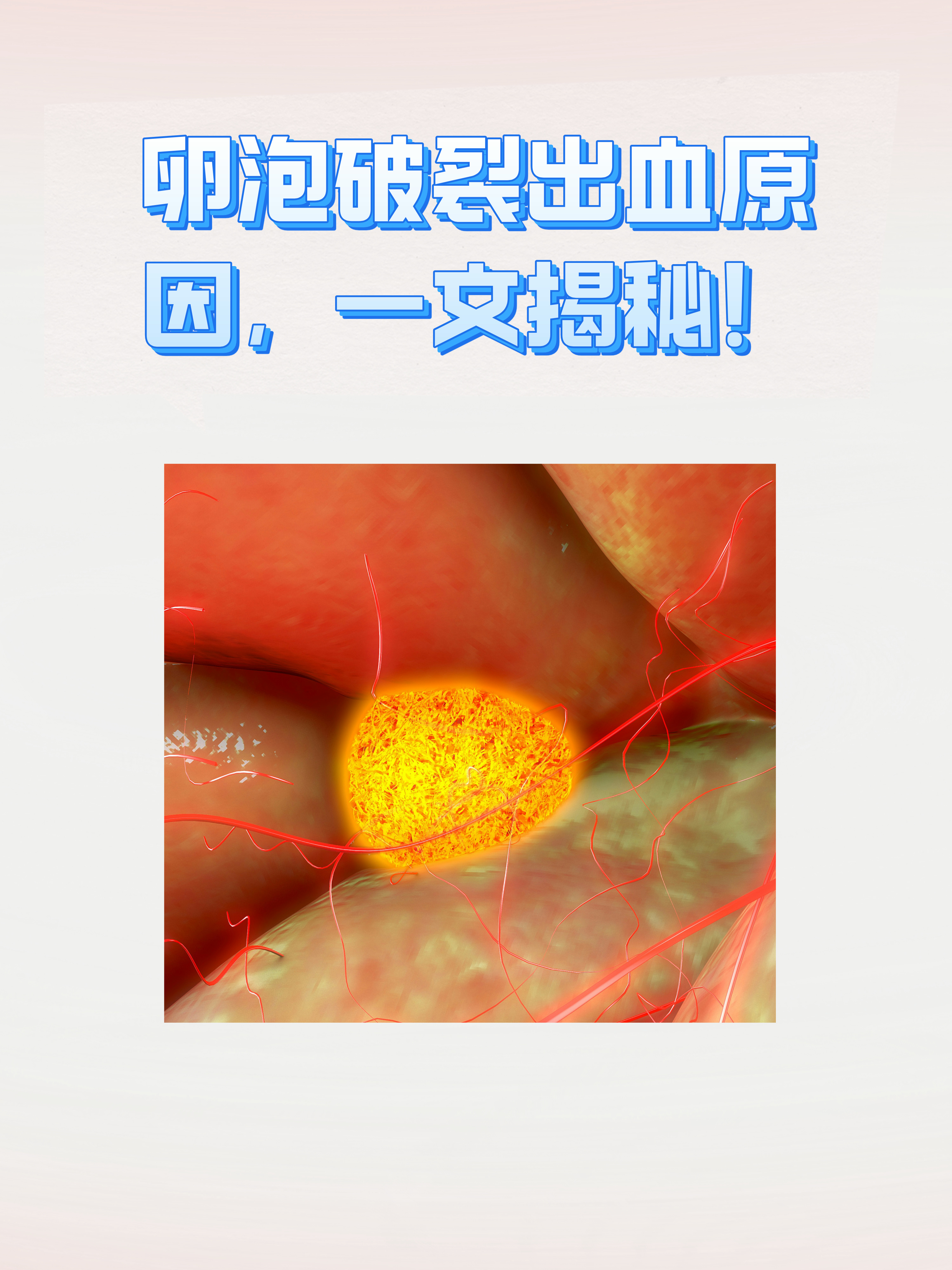 卵泡成熟激素(卵泡成熟激素277)