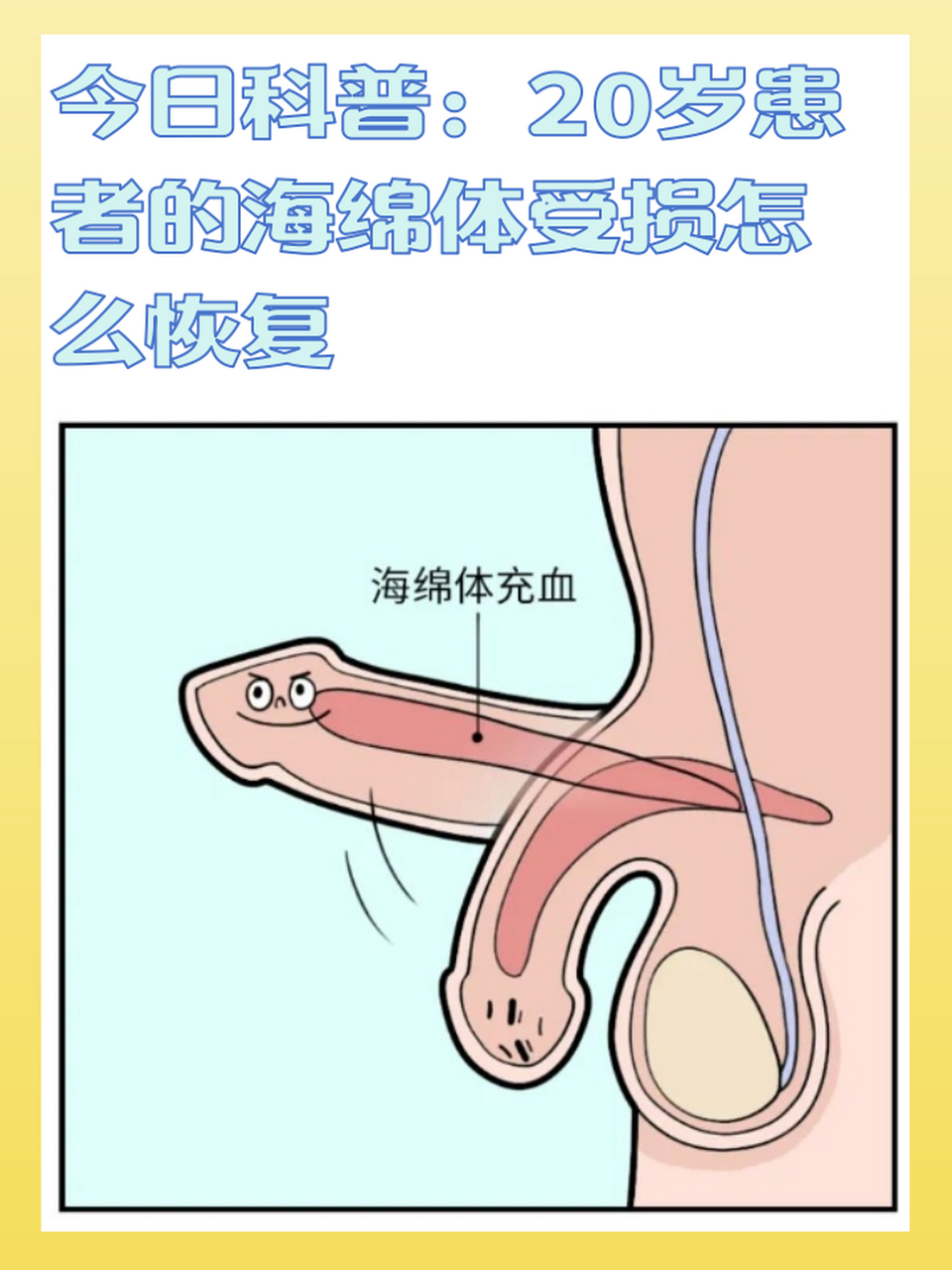 20岁患者的海绵体受损后,怎么恢复呢?