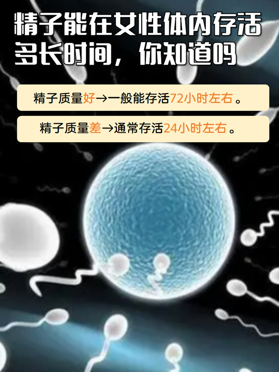 精子是男性发育成熟的生殖细胞,通过性生活可进入女性体内,并与女性的