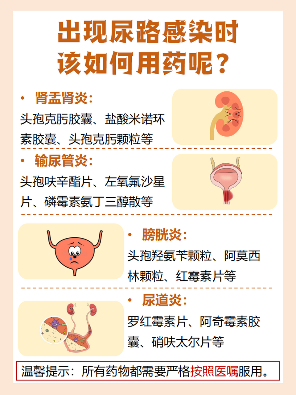 今日科普泌尿系统感染的疾病有哪些?