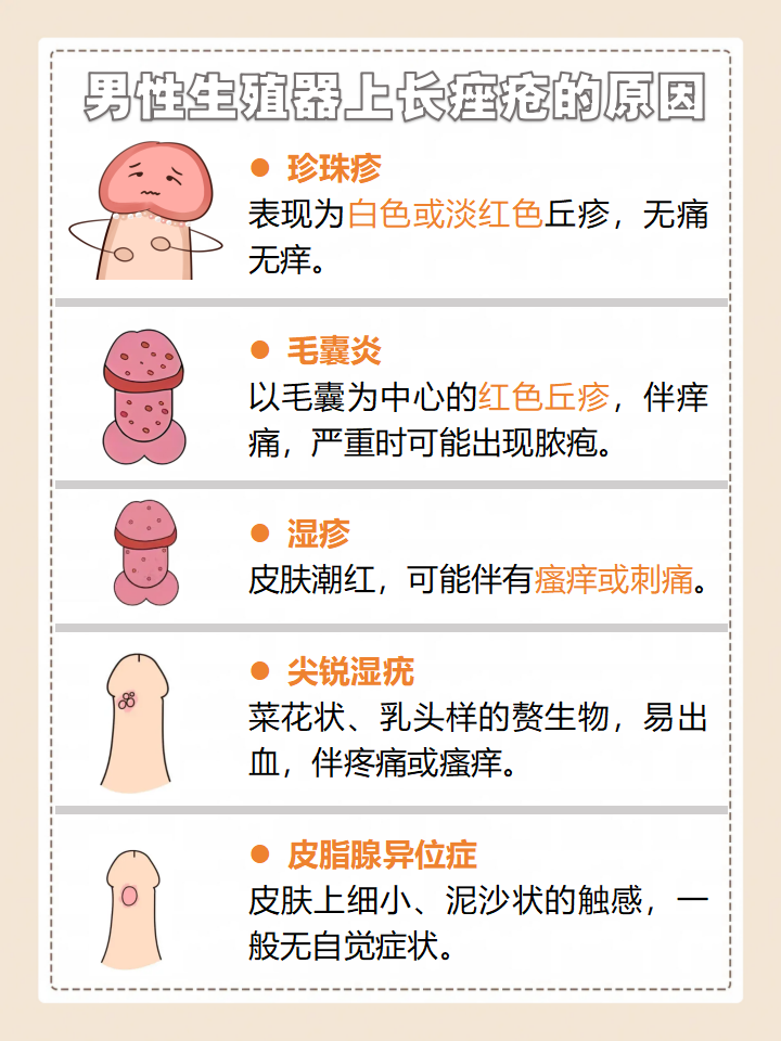 男性生殖器上长小痘痘?医生告诉你原因!