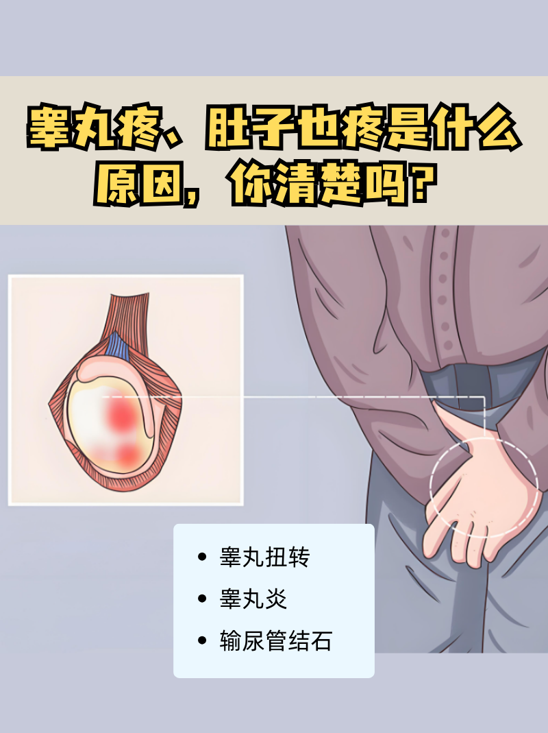 为什么睾丸疼