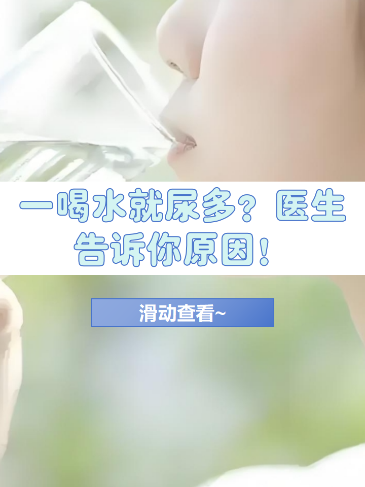 为什么喝了水一会儿就想尿