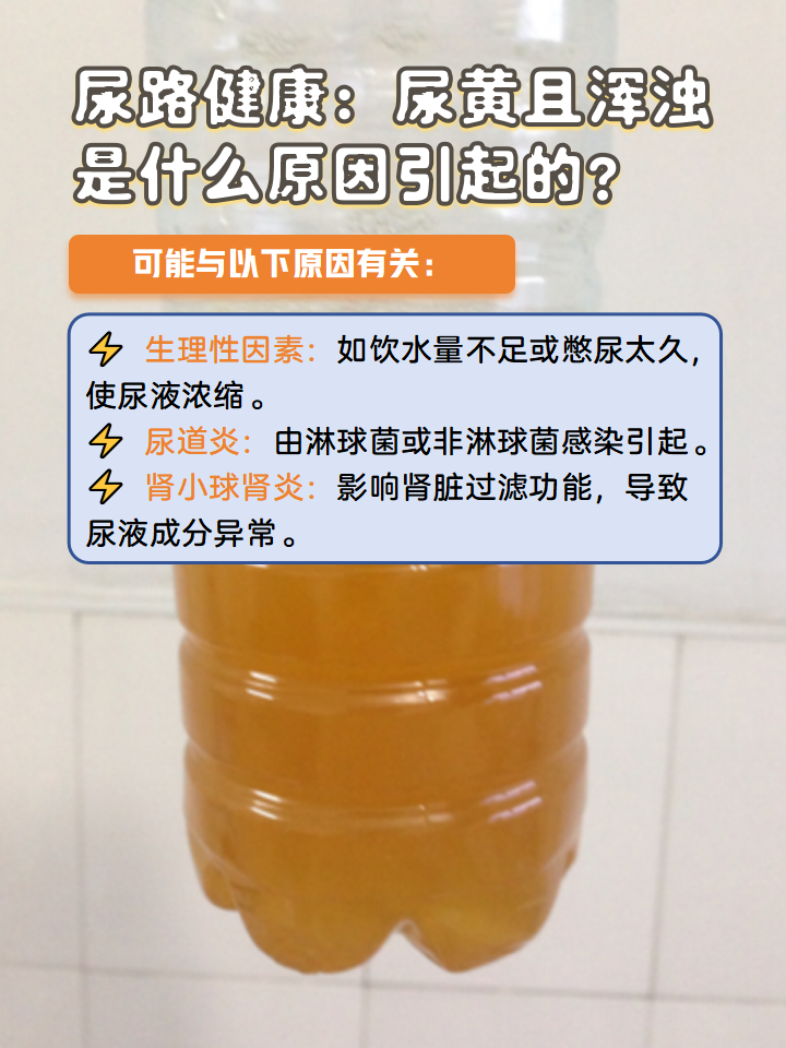 尿路健康:尿黄且浑浊是什么原因引起的?