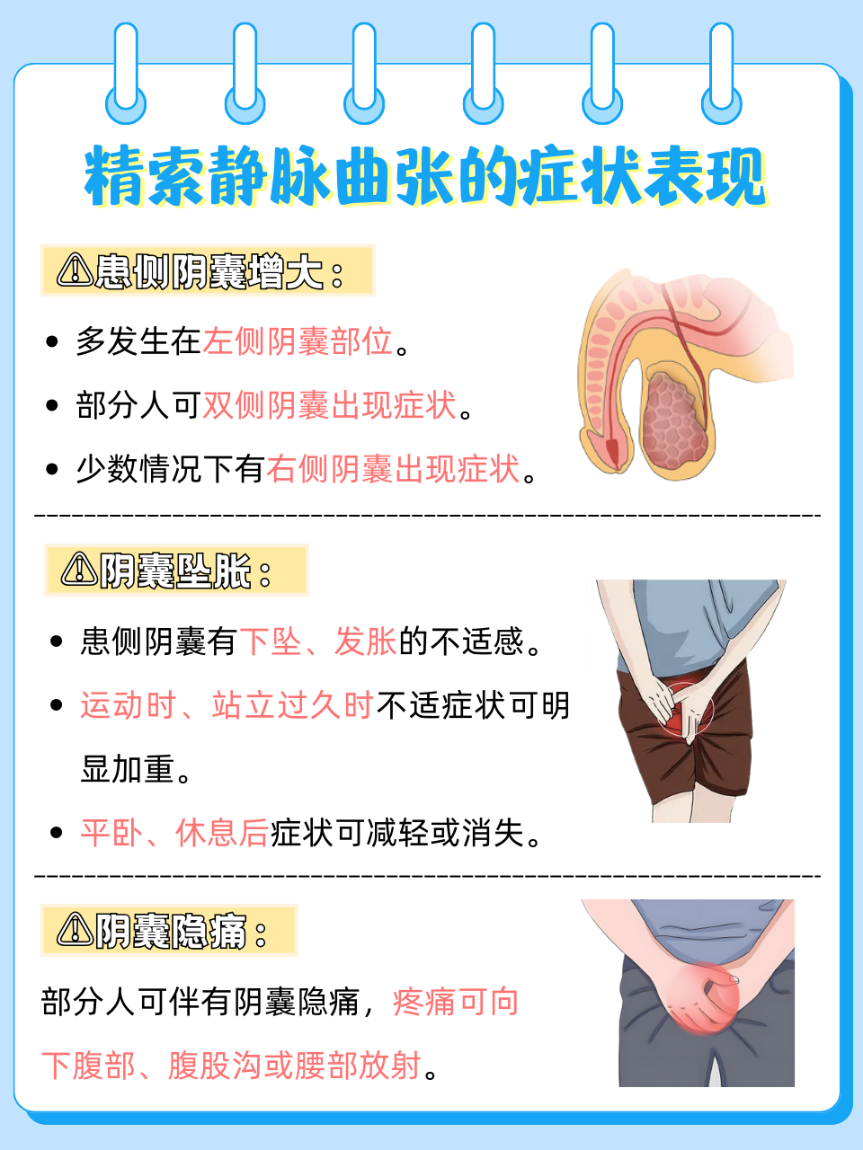 男性必看:精索静脉曲张会影响生育吗?