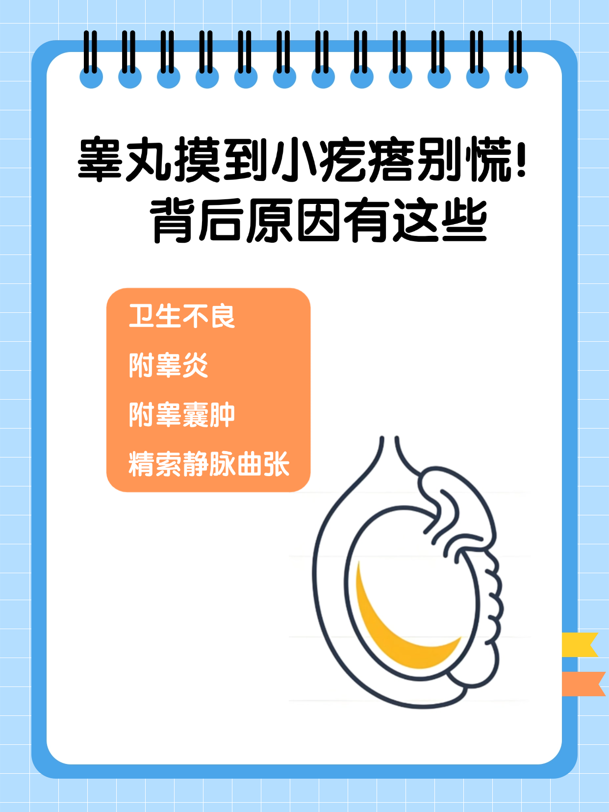 睾丸摸到小疙瘩别慌!