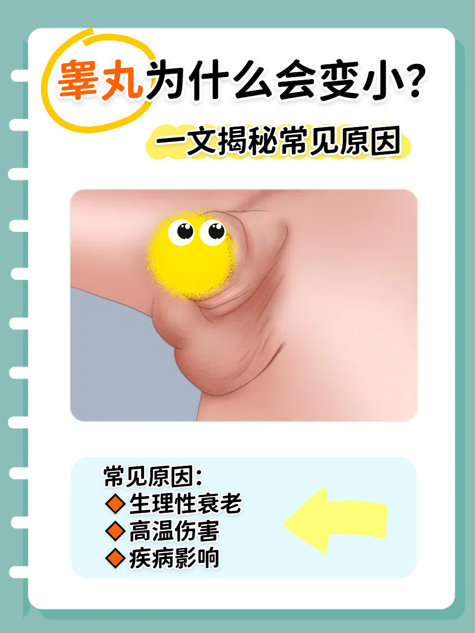 洗澡时突然发现睾丸变小,不少人瞬间紧张起来