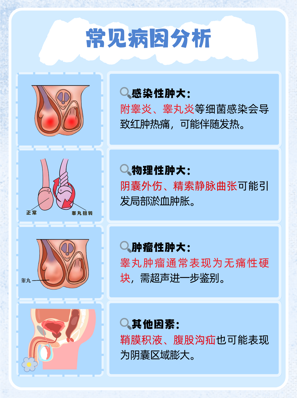 阴囊内的睾丸肿大确实会让很多男性朋友感到紧张,但别慌这种情况