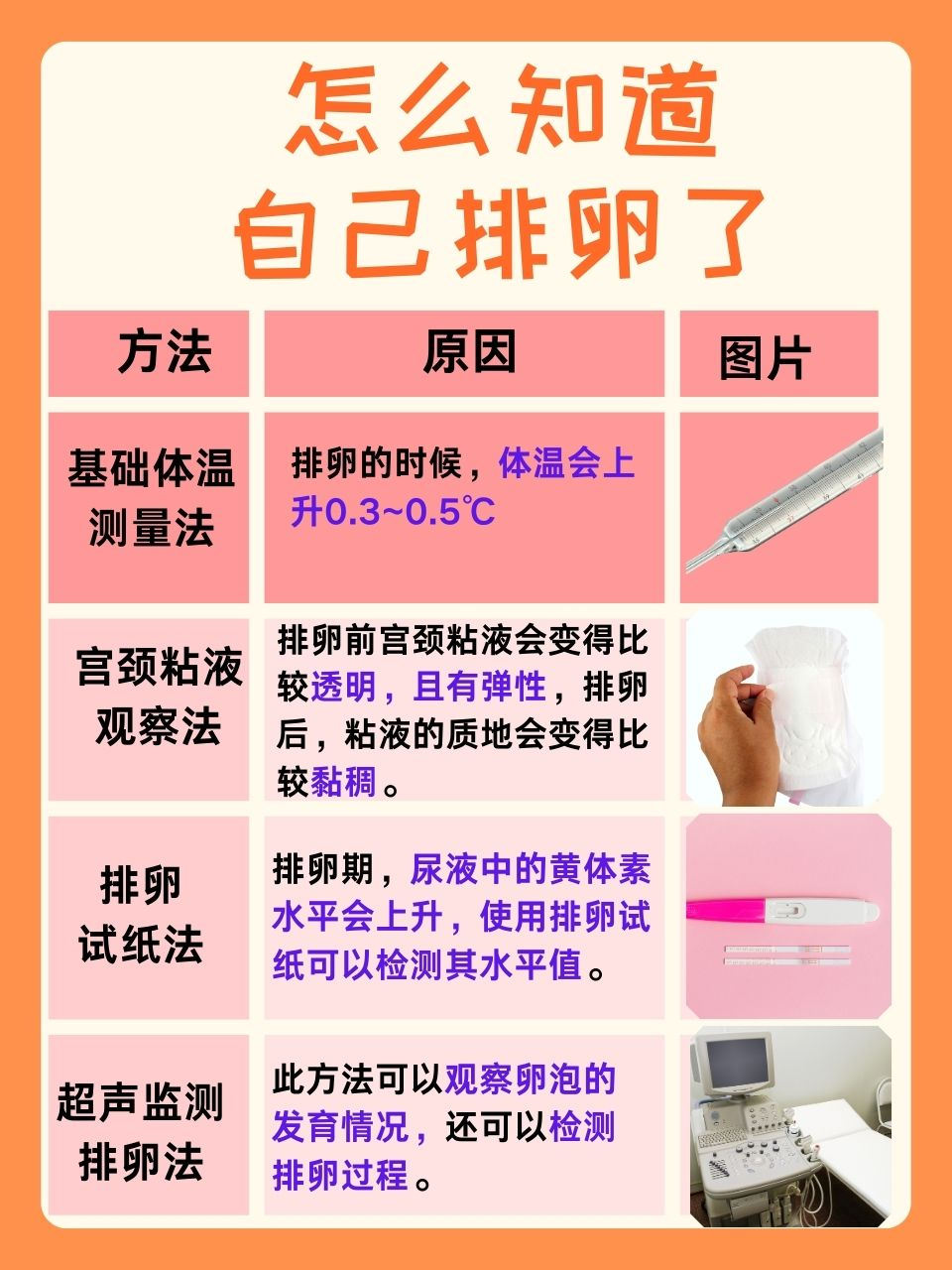 快速排卵的方法有哪些(怎样快速排卵,成功受孕)