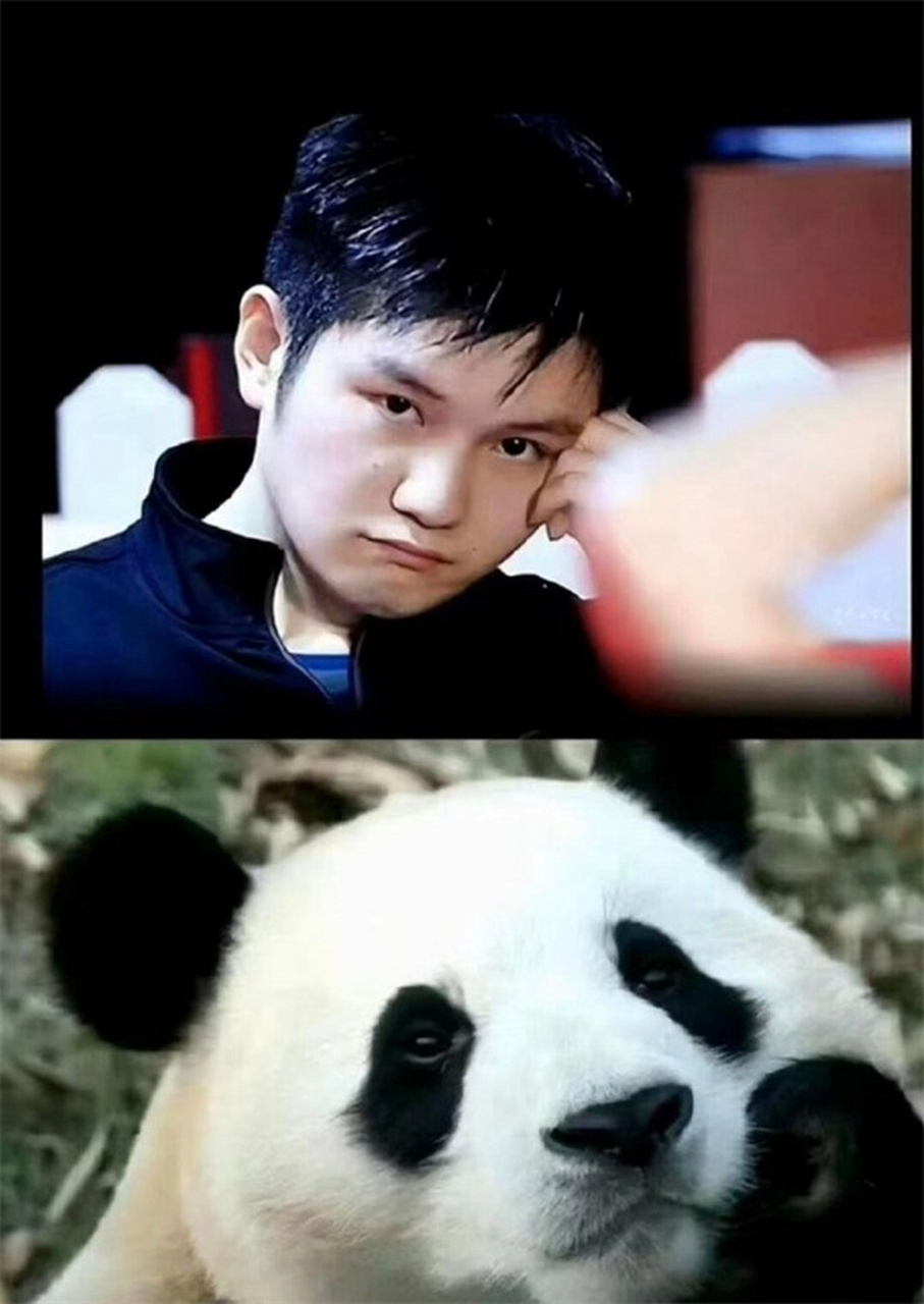 热点引擎计划# 今天我要和你们聊聊超有趣的樊振东熊猫雕塑.