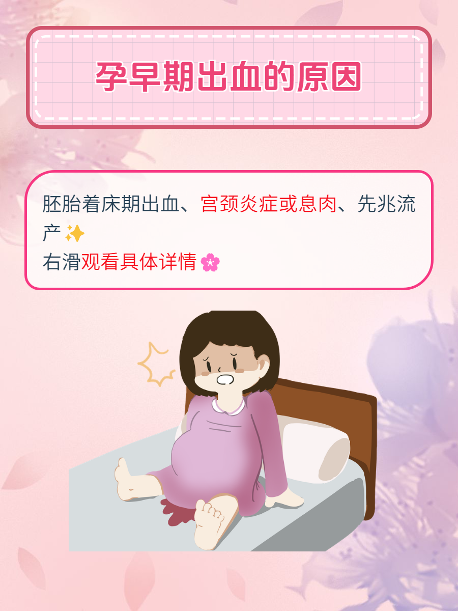 子宫着床位置图片