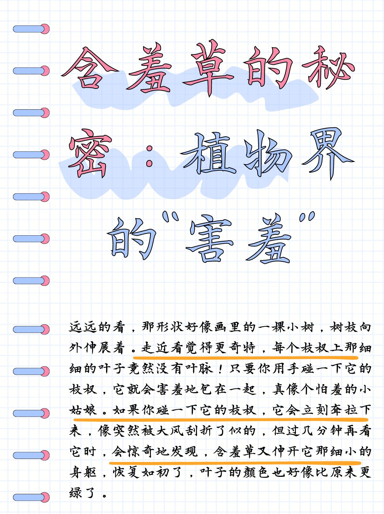 植物朋友记录卡含羞草图片