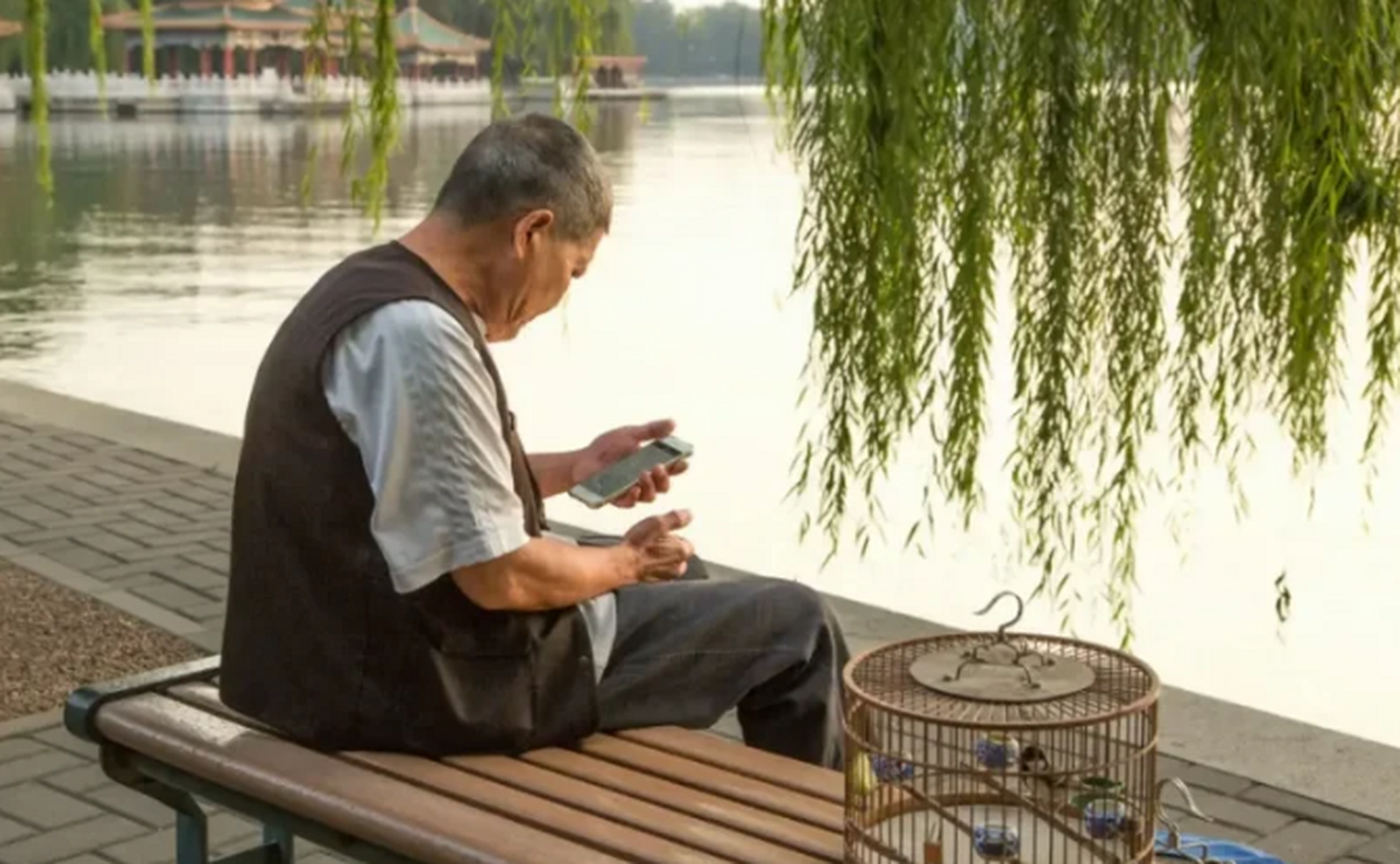 辽宁沈阳,一位60多岁老大爷在小区捡到了半袋大米,准备拿回去喂鸟
