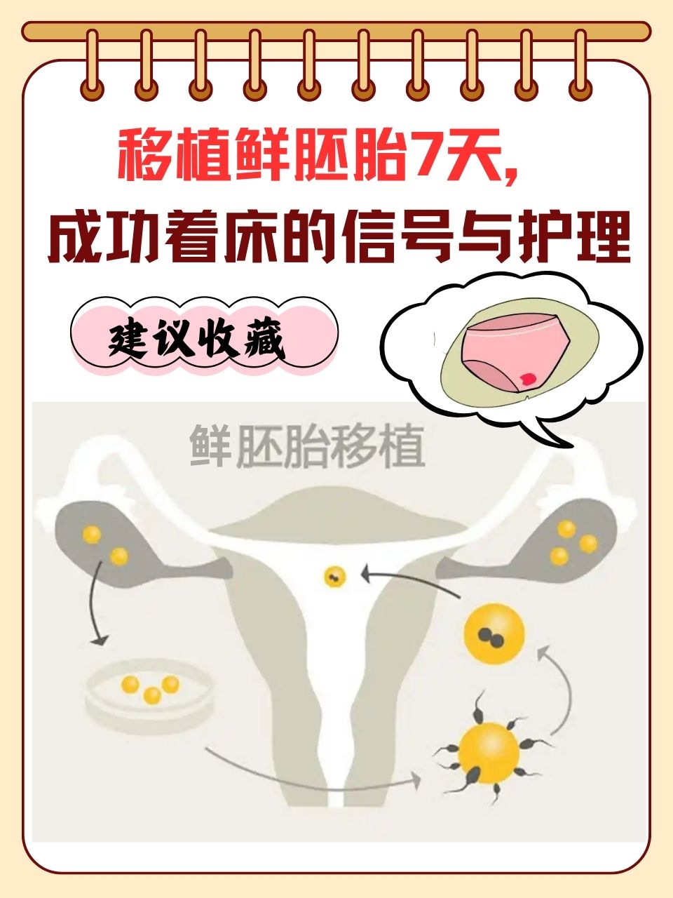 移植6天囊胚着床征兆_囊胚移植6天有什么反应  第2张