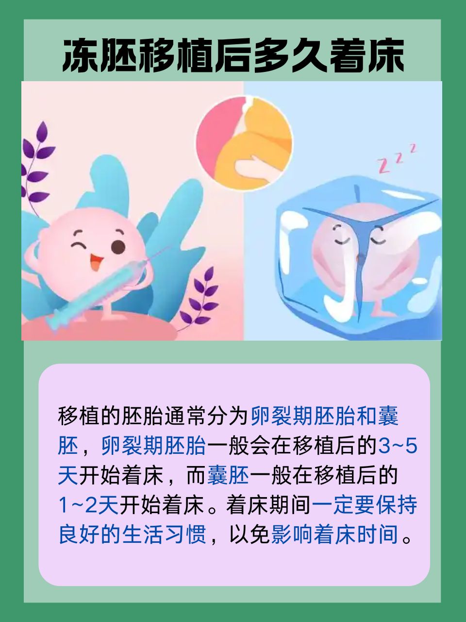 移植冻胚着床有什么反应(移植冻胚着床有什么反应吗)