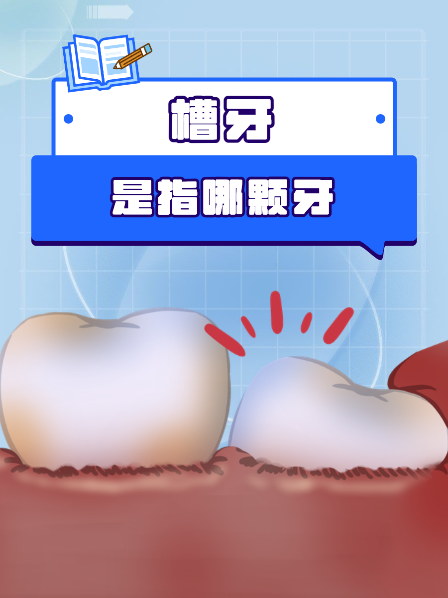 那么槽牙具体是指哪颗牙呢?