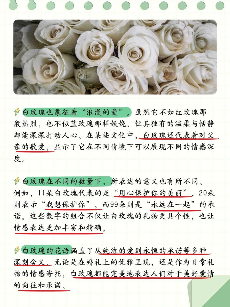 前几天男朋友送了我一束白玫瑰,在网上查了寓意代表纯洁,真诚,高傻哪
