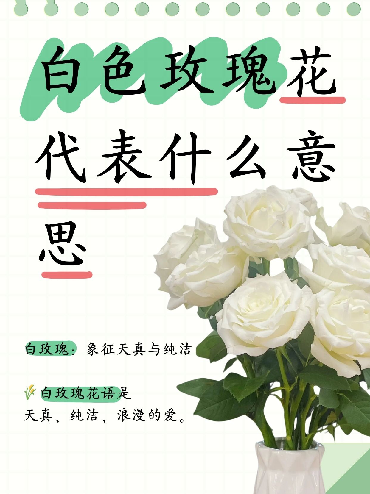 送什么花给朋友有寓意图片